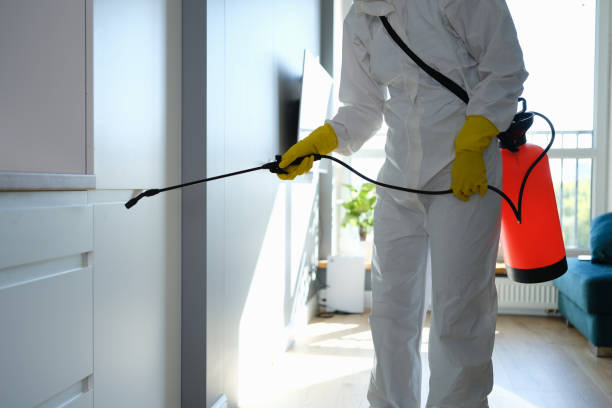 Certified Mold Removal in Ness City, KS