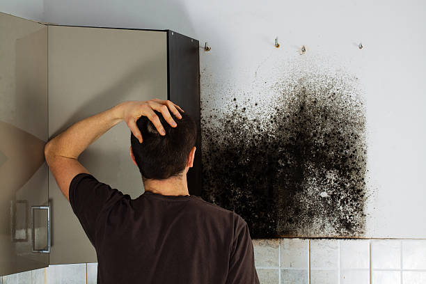 Water Damage Restoration in Ness City, KS